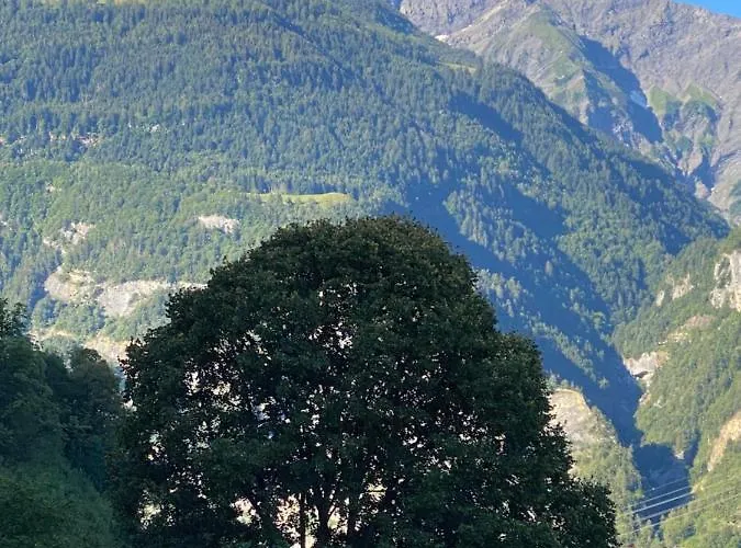 Appartement Joli Pres Des Bains De *